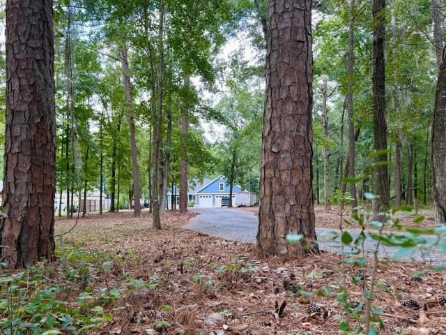 House for sale in Elloree, South Carolina