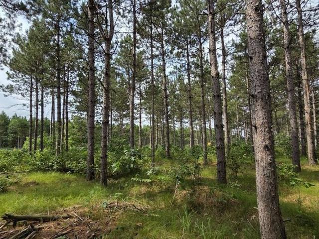 Land for sale in Wisconsin
