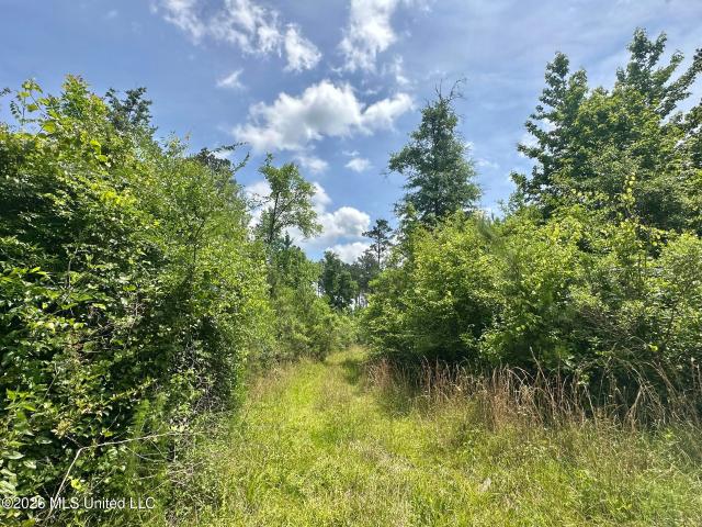 Land for sale in Morton, Mississippi