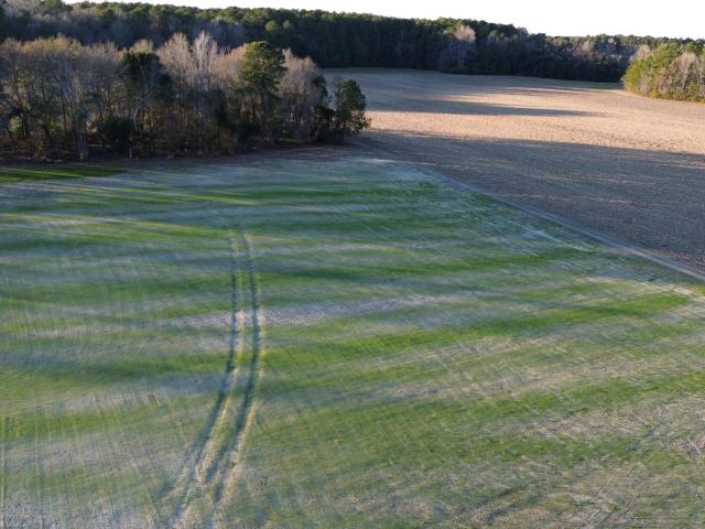 Land for sale in Saint Stephen, South Carolina