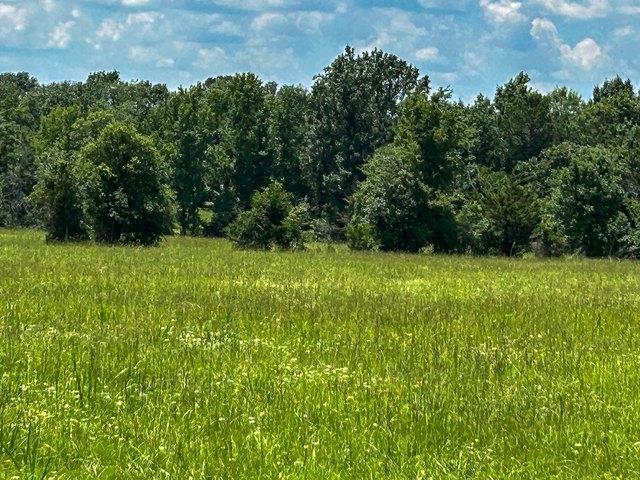 Land for sale in Crockett, Texas