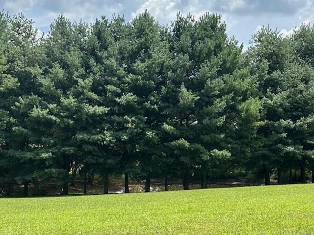 Land for sale in Campbellsville, Kentucky