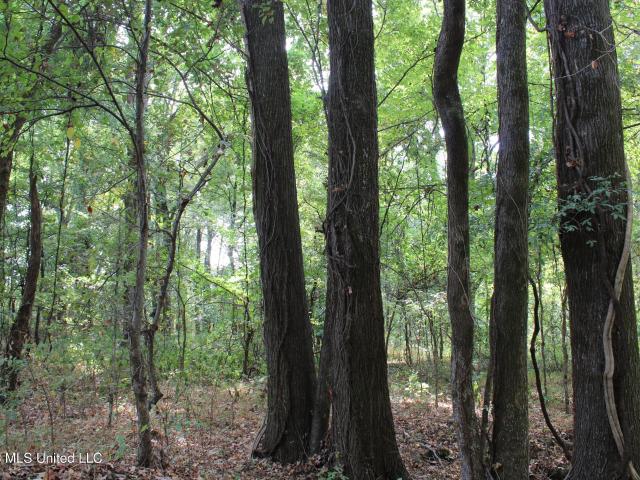 Land for sale in Horn Lake, DeSoto County