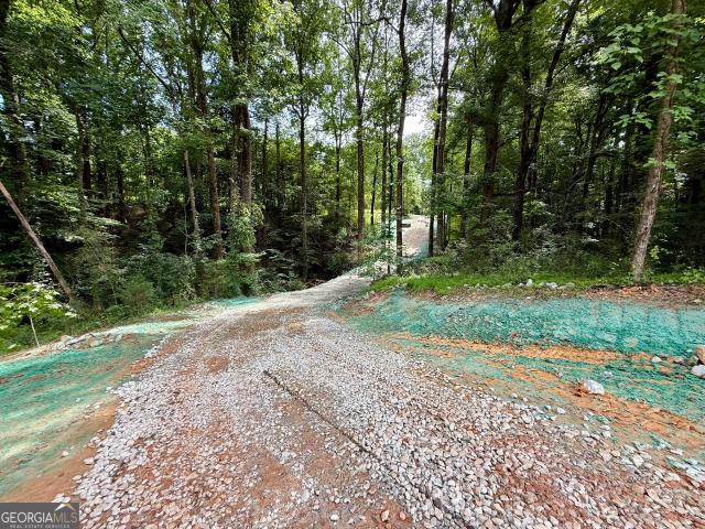 Land for sale in Banks, Georgia