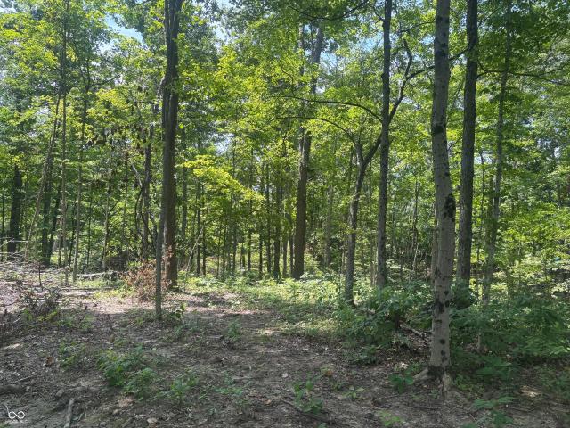 Land for sale in Brookville, Indiana