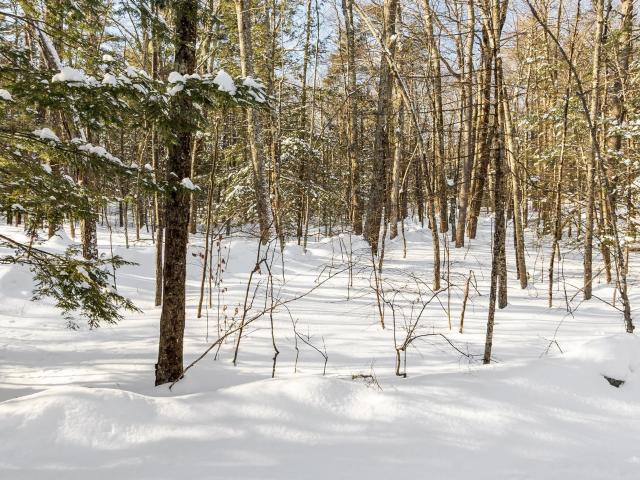 Property for sale in New Hampshire