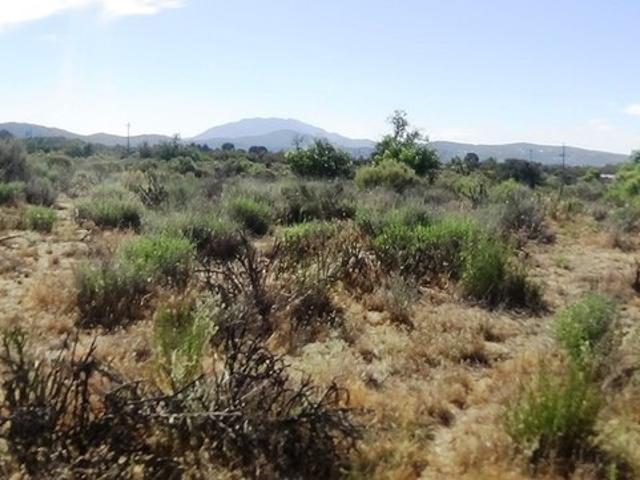 Land for sale in Anza, California