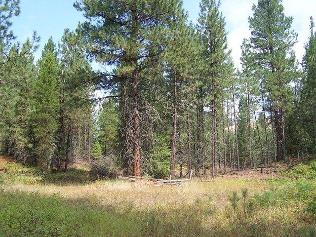Land for sale in Kettle Falls, Washington