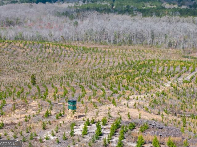 Land for sale in Wilkinson, Georgia