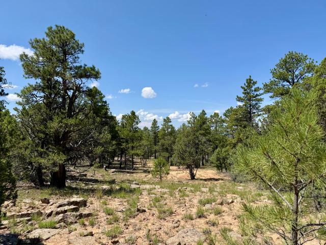 Land for sale in Ramah, New Mexico