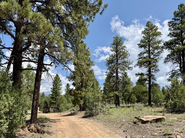 Land for sale in Ramah, New Mexico