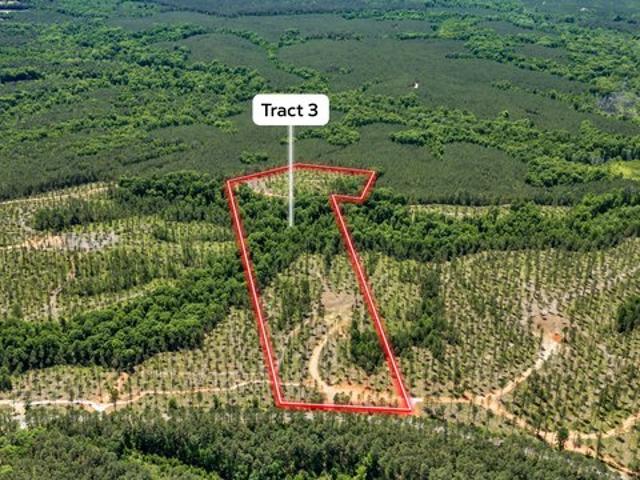 Land for sale in Carlton, Georgia