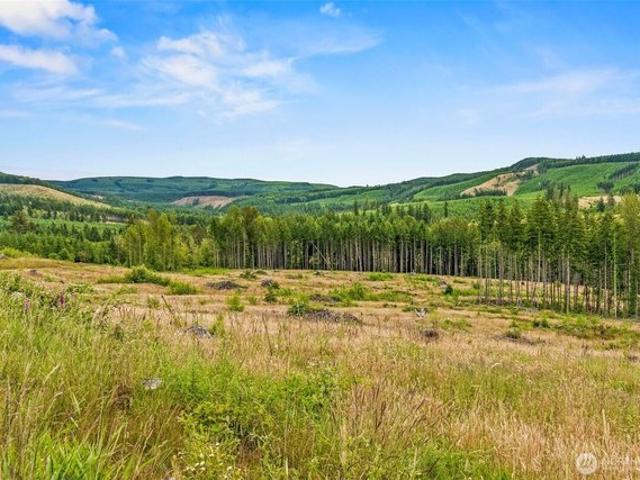 Land for sale in Toutle, Washington