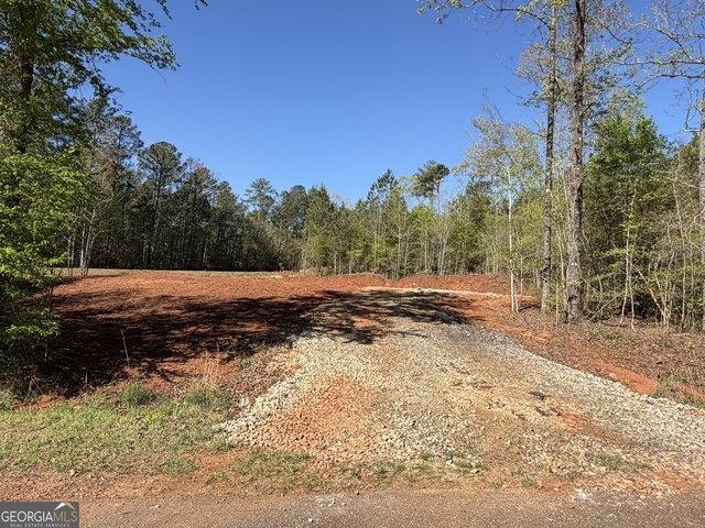 Land for sale in Upson, Georgia