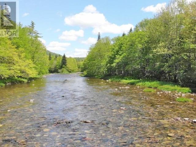 Land for sale in Upper Middle River, Nova Scotia