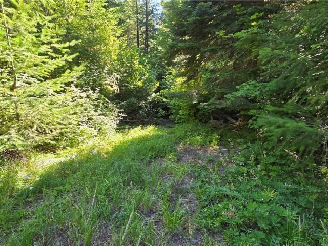 Land for sale in South Cle Elum, Washington