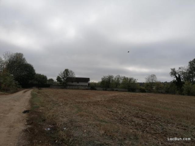 Teren vânzări în Romani, București