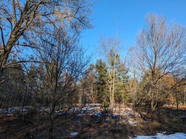 Land for sale in Kaleva, Manistee County