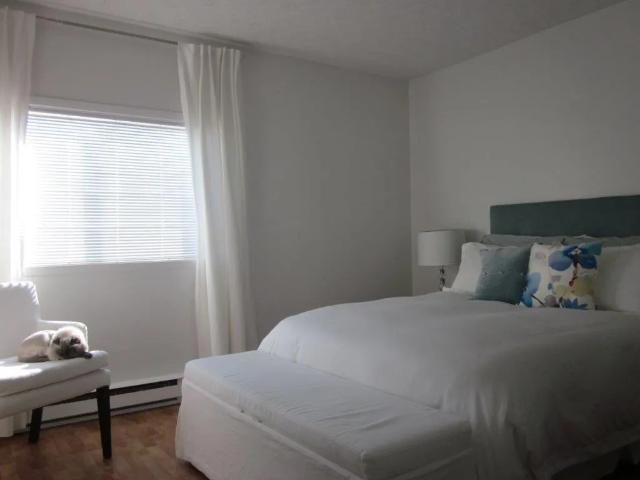 Apartment for rent in Lac-Croche, Capitale-Nationale