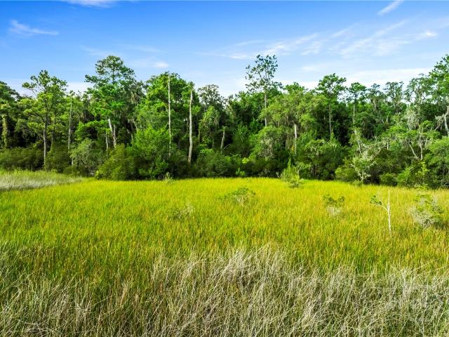 Land for sale in Riceboro, Georgia