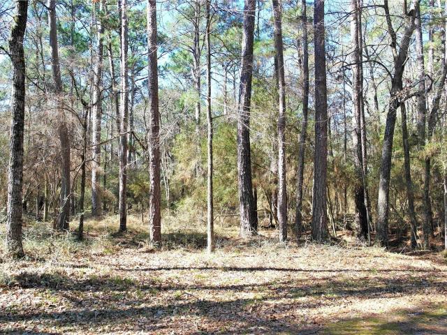 Land for sale in Texas