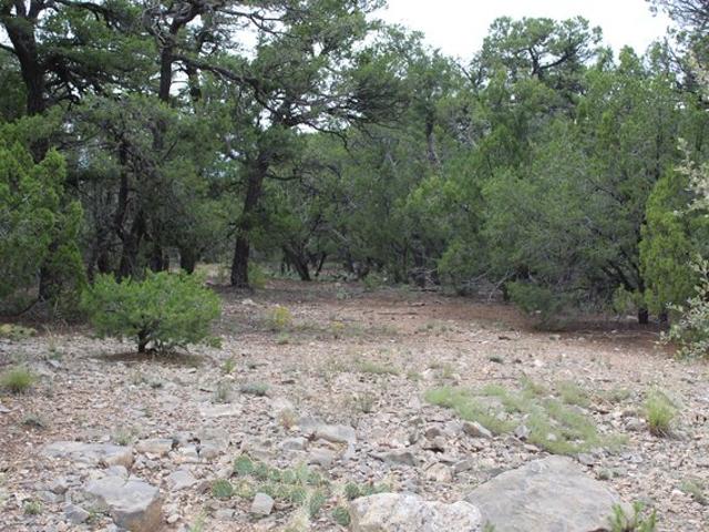 Land for sale in Tijeras, Bernalillo County