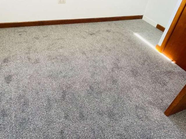 House for rent in Mount Roskill