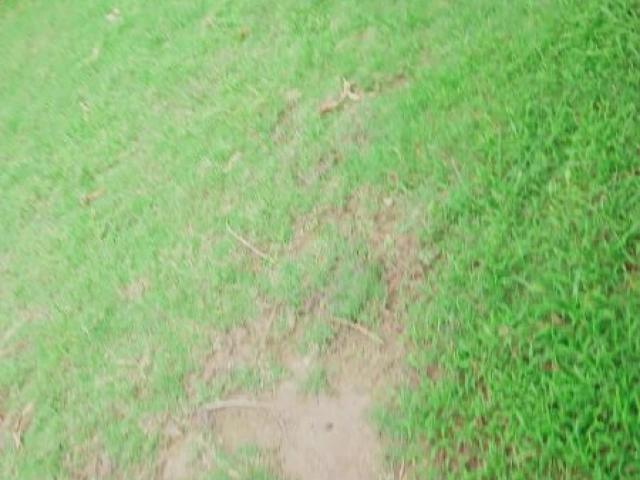 Land for sale in Rawalpindi, Islamabad Capital Territory