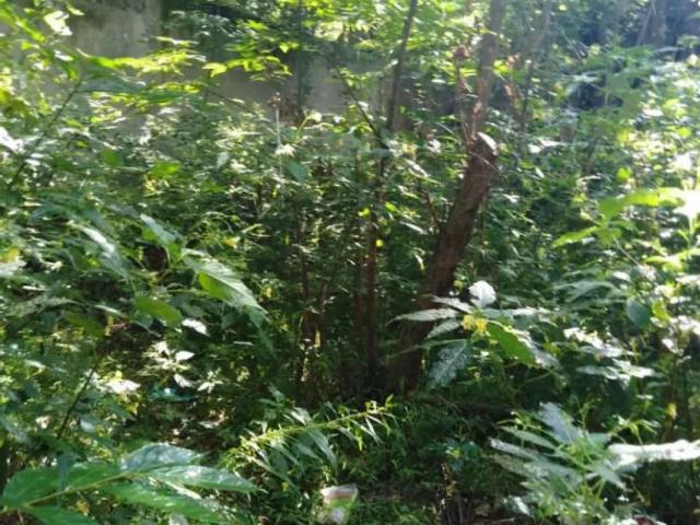 Land for sale in Murree, Islamabad Capital Territory