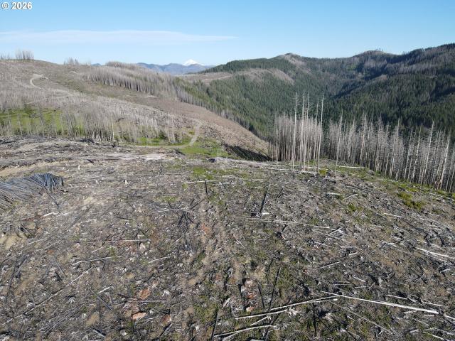 Land for sale in Oregonia
