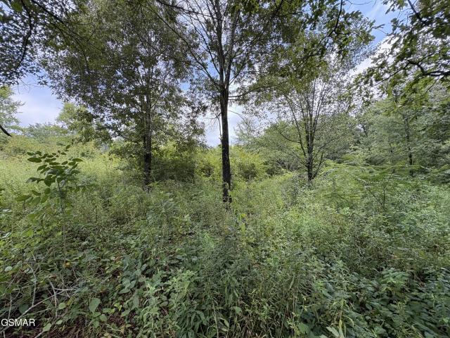 Farm for sale in Midway Business Park, Strawberry Plains