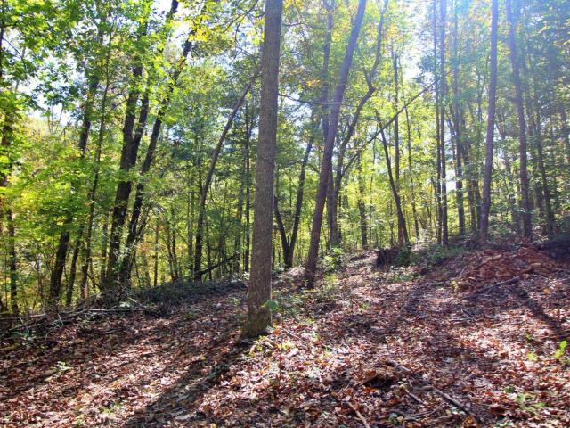 Land for sale in Appomattox, Appomattox County