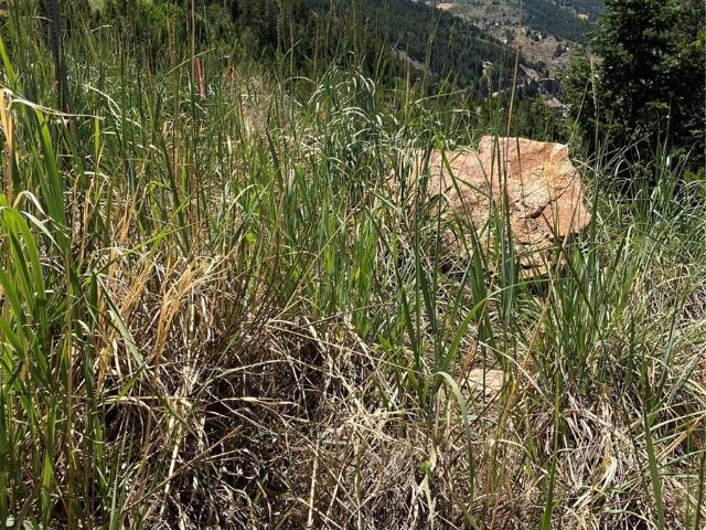 Land for sale in Black Hawk, Colorado
