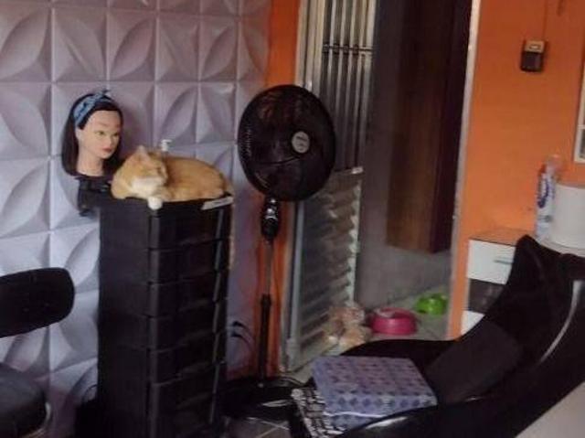 Casa venda em Região Imediata de São Paulo, Região Metropolitana de São Paulo