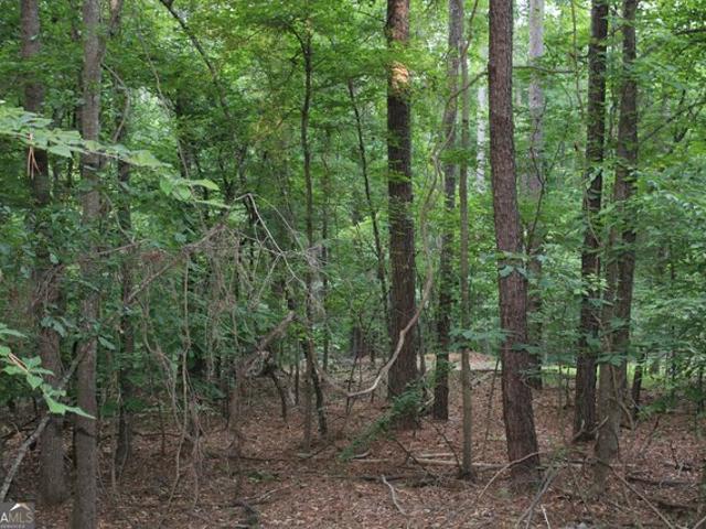 Land for sale in Auburn, Georgia