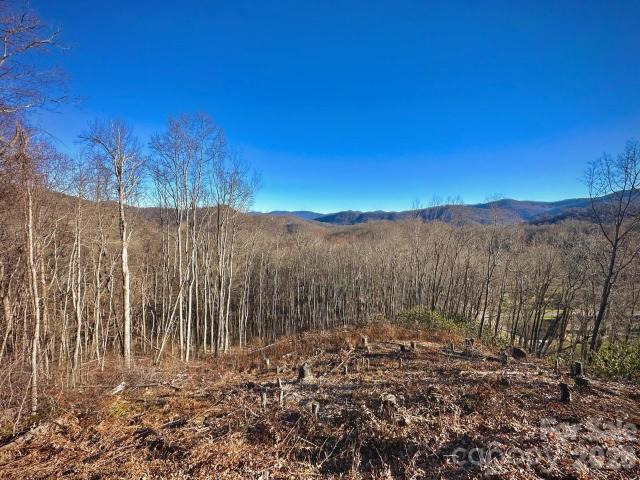 Land for sale in Haywood, North Carolina