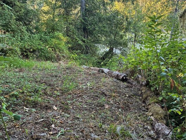 Land for sale in Gold Bar, Snohomish County