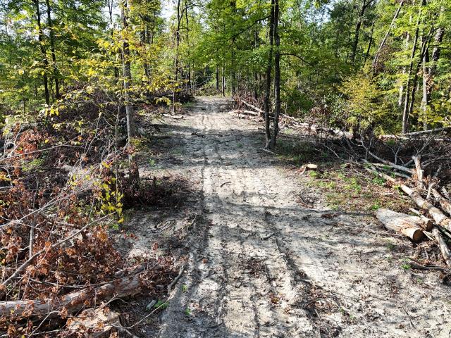 Land for sale in Indiana