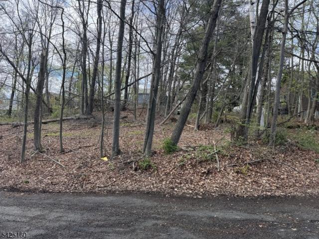 Land for sale in Passaic, New Jersey
