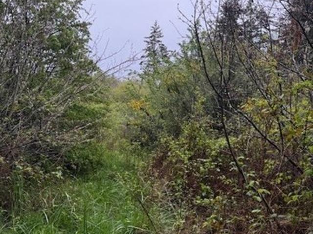 Land for sale in Port Townsend, Jefferson County