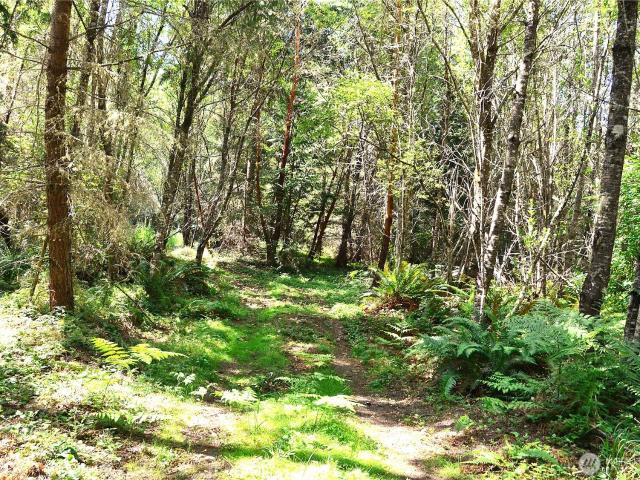 Land for sale in Port Townsend, Washington
