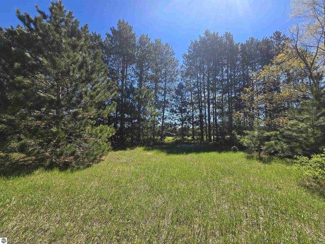 Land for sale in Mesick, Michigan