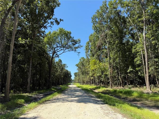 Property for sale in Reddick, Florida