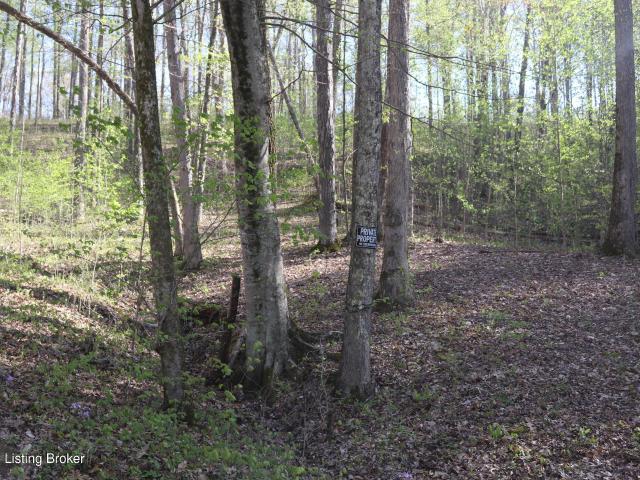 Land for sale in Kentucky