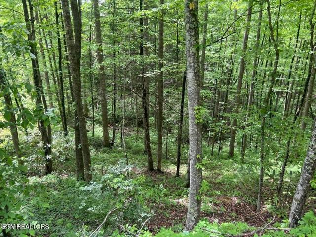 Land for sale in Tennessee