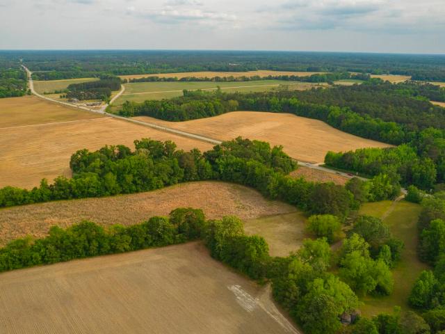 Land for sale in Vance, South Carolina