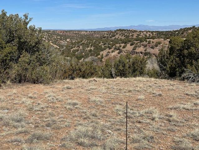 Land for sale in Sandia Park, Bernalillo County