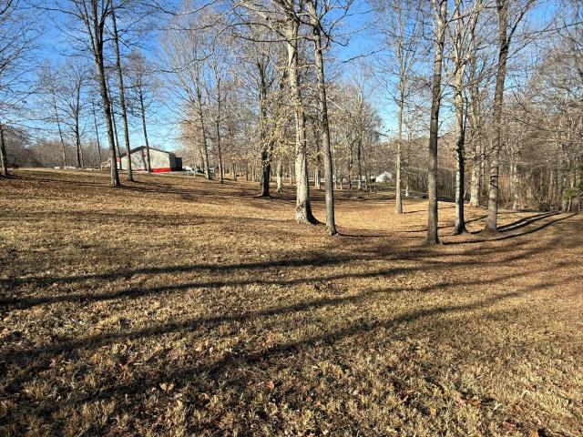 Land for sale in Albany, Kentucky