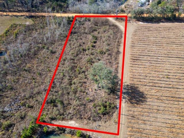Land for sale in Baxley, Georgia