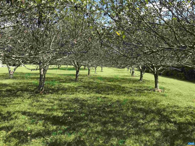 Land for sale in Virginia